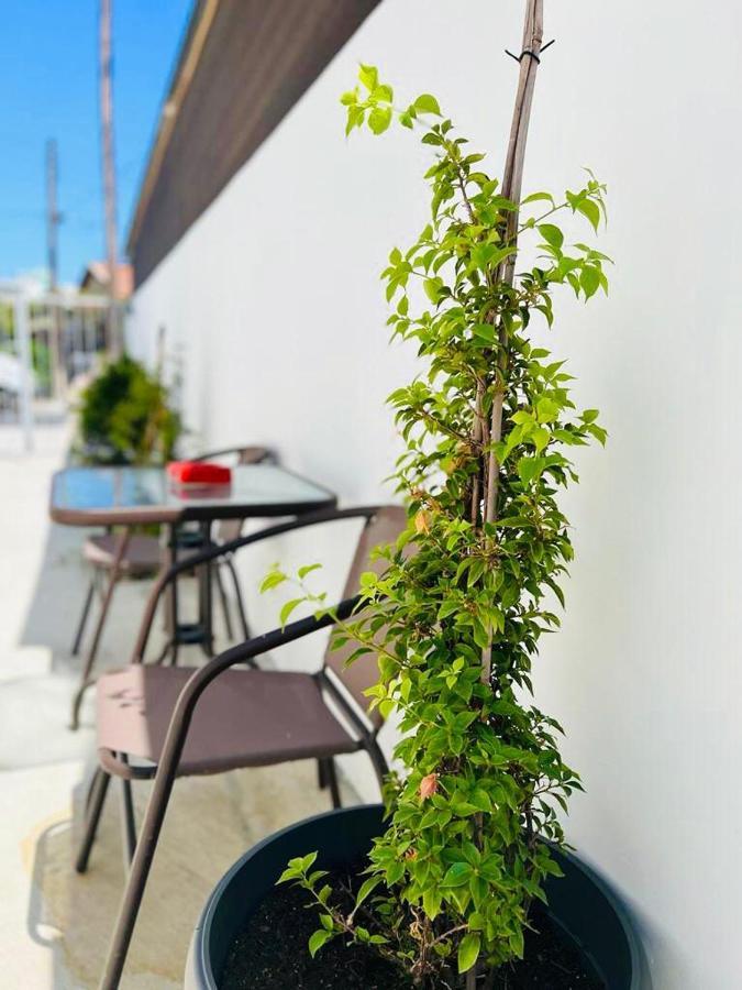 Cozy And Traditional Ec Studios Larnaca Exterior photo